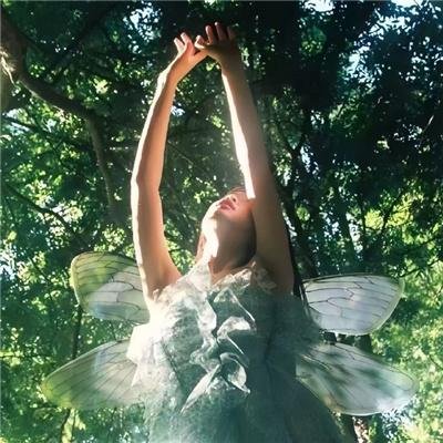 奇幻贵公子